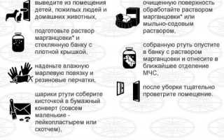 Что делать, если разбился градусник – все меры, о которых необходимо знать