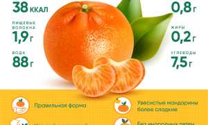 Мандариновая диета для похудения: виды, польза и вред