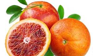 Апельсин: польза и вред для организма человека, калорийность, возможный вред