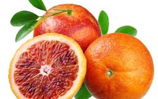 Апельсин: польза и вред для организма человека, калорийность, возможный вред