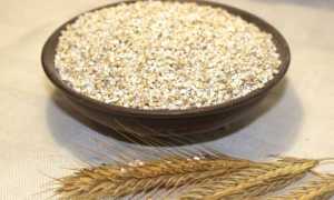 Калорийность ячневой каши, полезные свойства и противопоказания