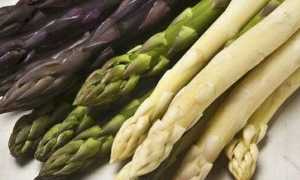 Калорийность, пищевая ценность и полезные свойства спаржи