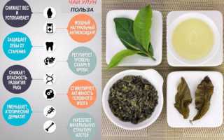 Молочный улун: польза и вред чая для организма