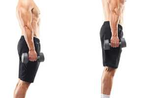 13 лучших упражнений, помогающих накачать икры