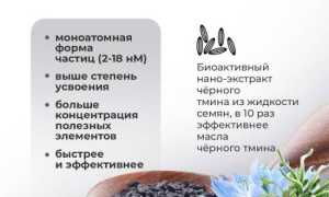 Черный тмин: полезные свойства и противопоказания, особенности применения для похудения