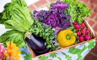 5 продуктов для детокса