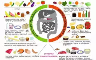 Диета при панкреатите — почему нельзя жаренное и жирное?
