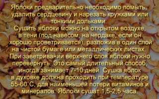 Сушеные яблоки: калорийность, польза и вред для здоровья