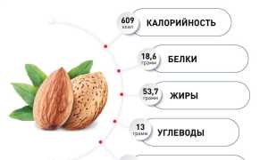 Миндаль: польза ореха для организма и возможный вред от употребления