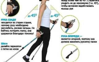 С чего начать похудение: мотивация, основы правильного питания