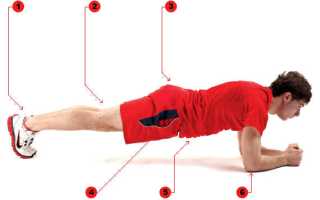 Планка для похудения: польза и вред, разновидности, таблица для начинающих на 30 дней