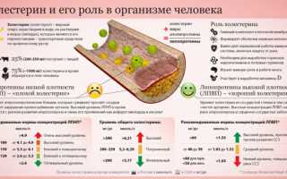 Топ-15 самых опасных продуктов, содержащих холестерин в больших количествах
