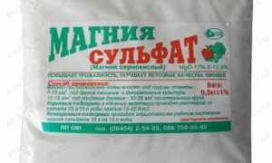 Как быстро и эффективно провести очищение кишечника в домашних условиях от шлаков и токсинов