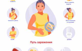 Сальмонеллезное пищевое отравление: как выявить болезнь