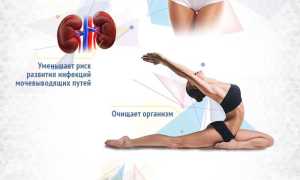 Как правильно проводить разгрузочный день на воде с медом, лимоном