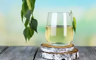 Лечение березовым соком: вкусный напиток от множества болезней