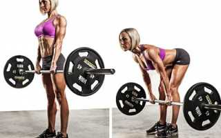 Программа тренировок для девушек в тренажерном зале: лучшие упражнения для похудения