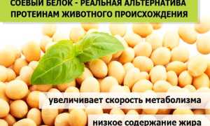 Соя и продукты из нее: калорийность, польза и вред, состав