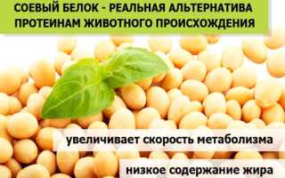 Соя и продукты из нее: калорийность, польза и вред, состав
