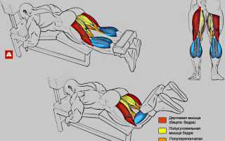 Сгибание ног в тренажере лежа, сидя, стоя