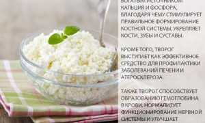 Обезжиренный творог: состав, калорийность, БЖУ, польза и возможный вред