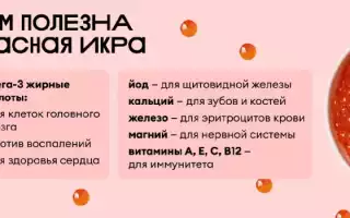 Польза и вред красной икры для здоровья