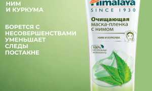 Эффективные маски для лица с алоэ: рецепты от прыщей, морщин, черных точек в домашних условиях