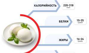 Моцарелла: калорийность сыра на 100 г, состав, БЖУ, польза и вред