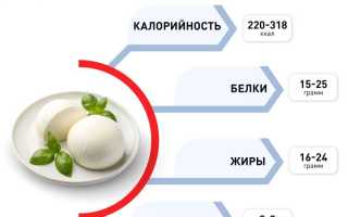 Моцарелла: калорийность сыра на 100 г, состав, БЖУ, польза и вред