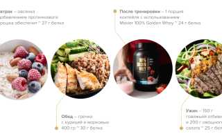 Что такое протеин и как правильно принимать его для набора веса