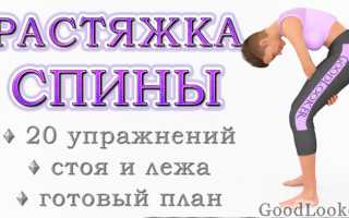 10 упражнений на растяжку мышц спины