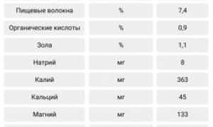 Темный и молочный шоколад при похудении: калорийность, польза и вред