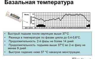 Как измерять базальную температуру, если вы хотите забеременеть