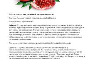 Гранат: полезные свойства и противопоказания для употребления