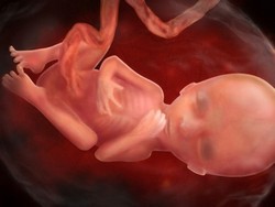 Фото по теме 16 неделя беременности: как проходит для девушки