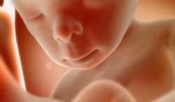 Фото по теме 35 неделя беременности: как проходит для девушки
